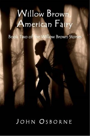 [The Willow Brown Stories 02] • American Fairy